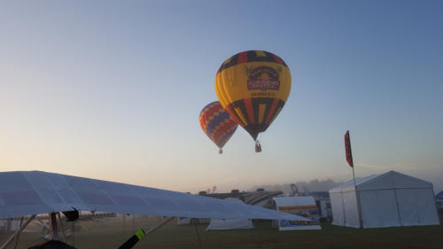 Balloons at dawn in Lakeland 